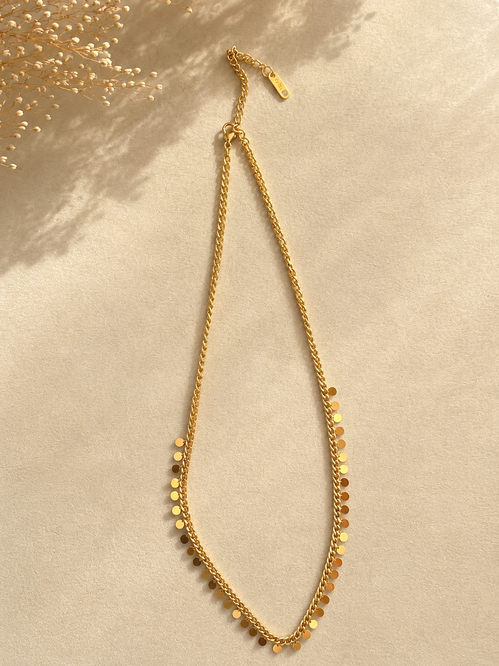 Celeste Coin Necklace